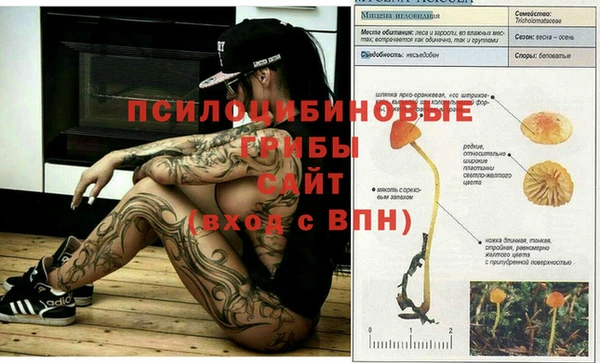 а пвп мука Балабаново