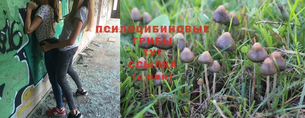 а пвп мука Балабаново